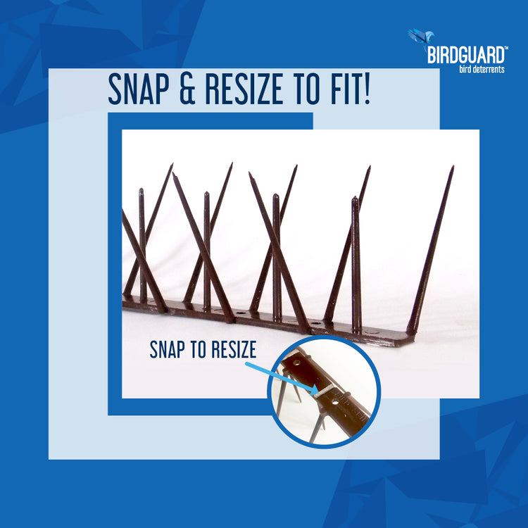 Birdguard bird spikes blog showing the products versatility.