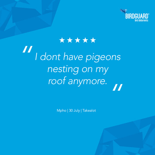 Birdguard bird spikes bog on customer satisfaction.